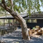 Mid-Century Post & Beam Treehouse in Elysian Heights | 2157 Park Drive